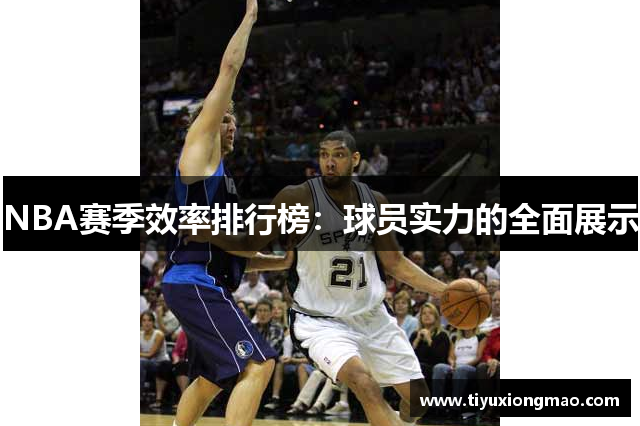 NBA赛季效率排行榜：球员实力的全面展示