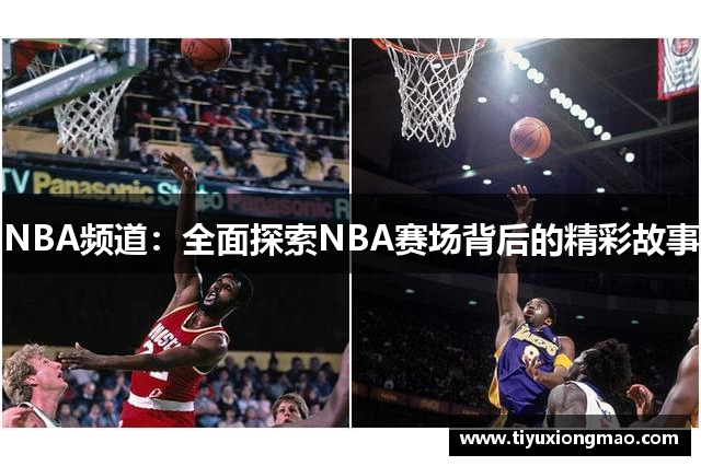 NBA频道：全面探索NBA赛场背后的精彩故事