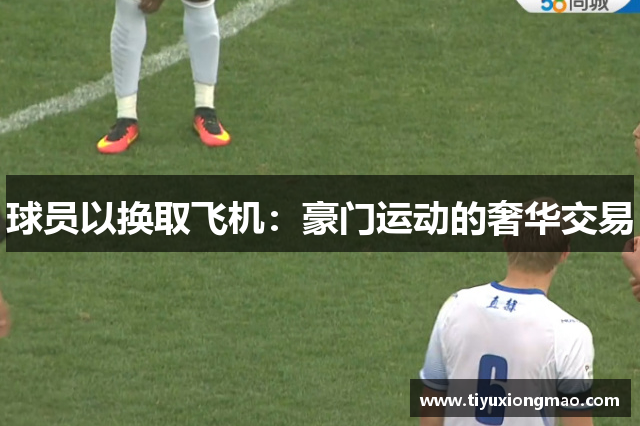球员以换取飞机：豪门运动的奢华交易