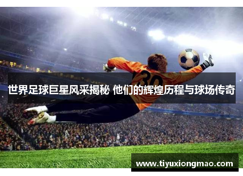 世界足球巨星风采揭秘 他们的辉煌历程与球场传奇