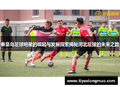 秦皇岛足球明星的崛起与发展探索揭秘河北足球的未来之路