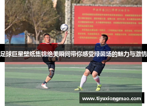 足球巨星壁纸集锦绝美瞬间带你感受绿茵场的魅力与激情