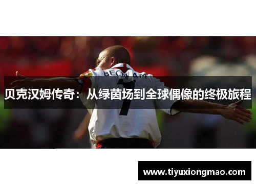 贝克汉姆传奇：从绿茵场到全球偶像的终极旅程