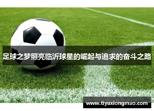足球之梦照亮临沂球星的崛起与追求的奋斗之路