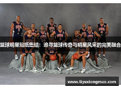 篮球明星贴纸集结：追寻篮球传奇与明星风采的完美融合